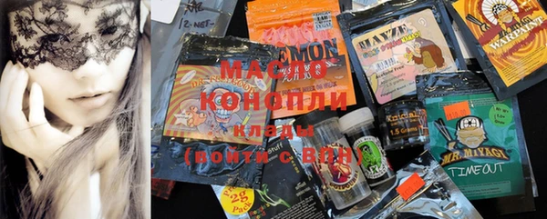 винт Каменка